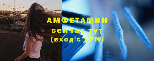прущие грибы Новозыбков
