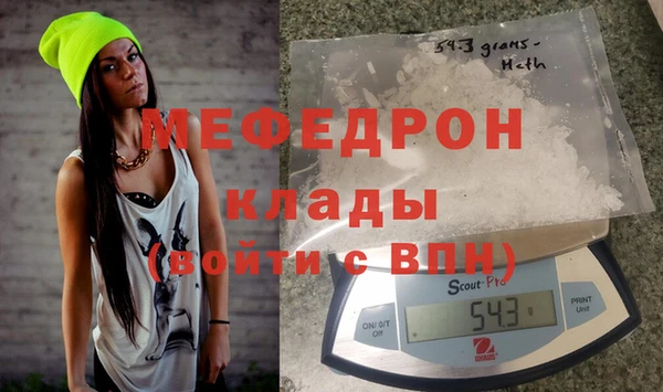 сатива Новокубанск