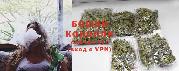 ECSTASY Новодвинск
