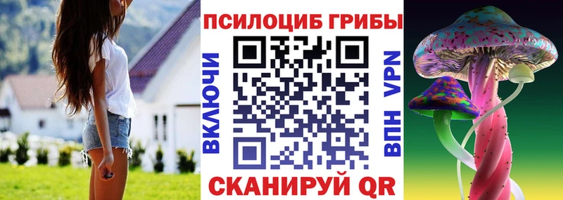 Купить закладки  Циолковский  Псилоцибиновые грибы GOLDEN TEACHER 